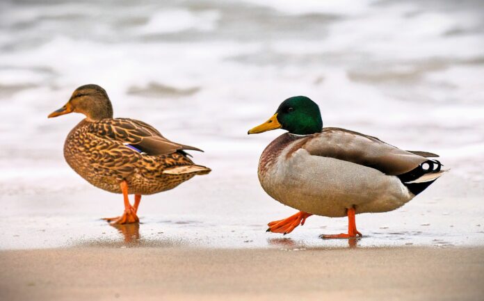 Odkryj Potęgę Zmiany Buduj Zdrowe Relacje Odkryj Potęgę Zmiany