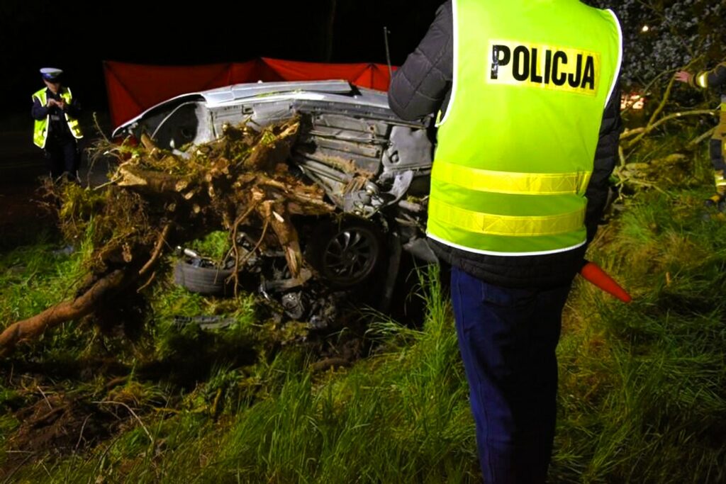 Tragiczny wypadek BMW na Pomorzu: Wyrwane drzewo i śmierć pasażera