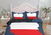 Polska na rozdrożu?: dwie wizje kraju w drugiej turze wyborów prezydenckich 2025 Trzasowski Nawrocki