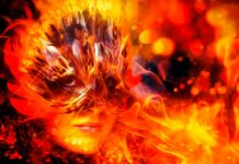 Z Popiołów Wstaję: Odkryj Siłę Wyboru i Powróć do Serca z Martą Tafelski! Zadbaj o swoje ciało! Zadbaj o duszę! Mów stop temu, co Cię niszczy! z popiołów wstaję