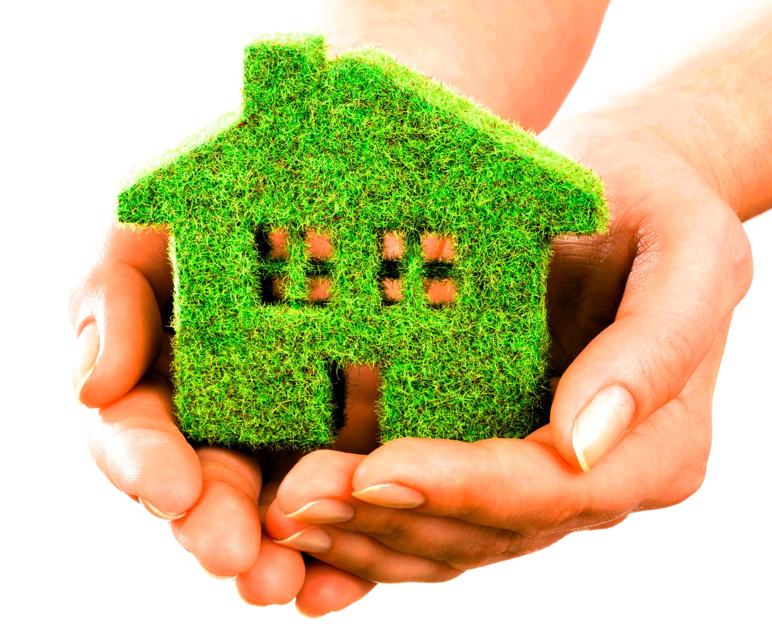 Zielony Zakątek Życia – Bioekosystem w Domu i Technologie Aquaponiki/Hydroponiki! 🌿🏡✨Twoje Nowe Życie