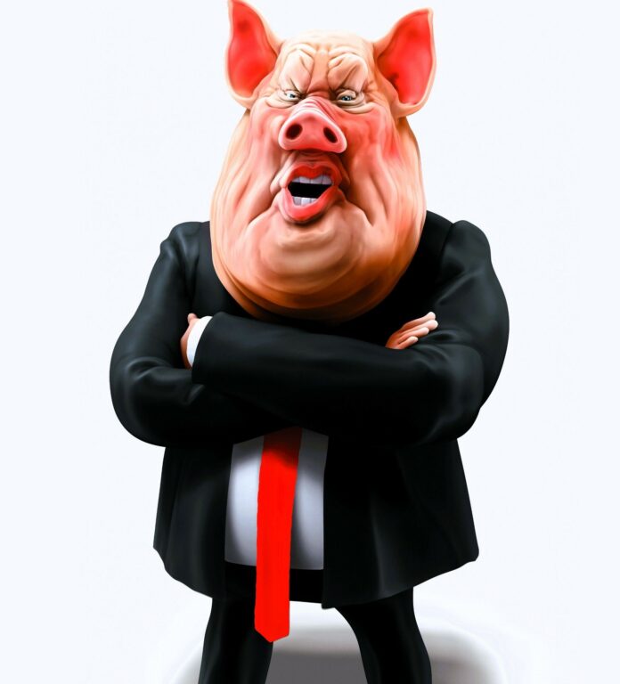 zespół Delbrücka czyli zalety które zrobią z ciebie polityka zespół Delbrücka czyli zalety które zrobią z ciebie polityka