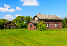 Życie Naturalne z Rafałem Stachyrą: Odkryj Potęgę Powrotu do Korzeni! 🌿✨Naturalne Siedlisko Naturalne Siedlisko Rafał Stachyra w cyklu Twoje Nowe Życie odc 4
