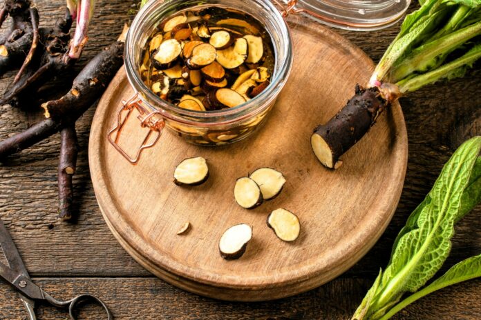 Odkryj Moc Żywokostu - Od Natury Do Zdrowia odc 7