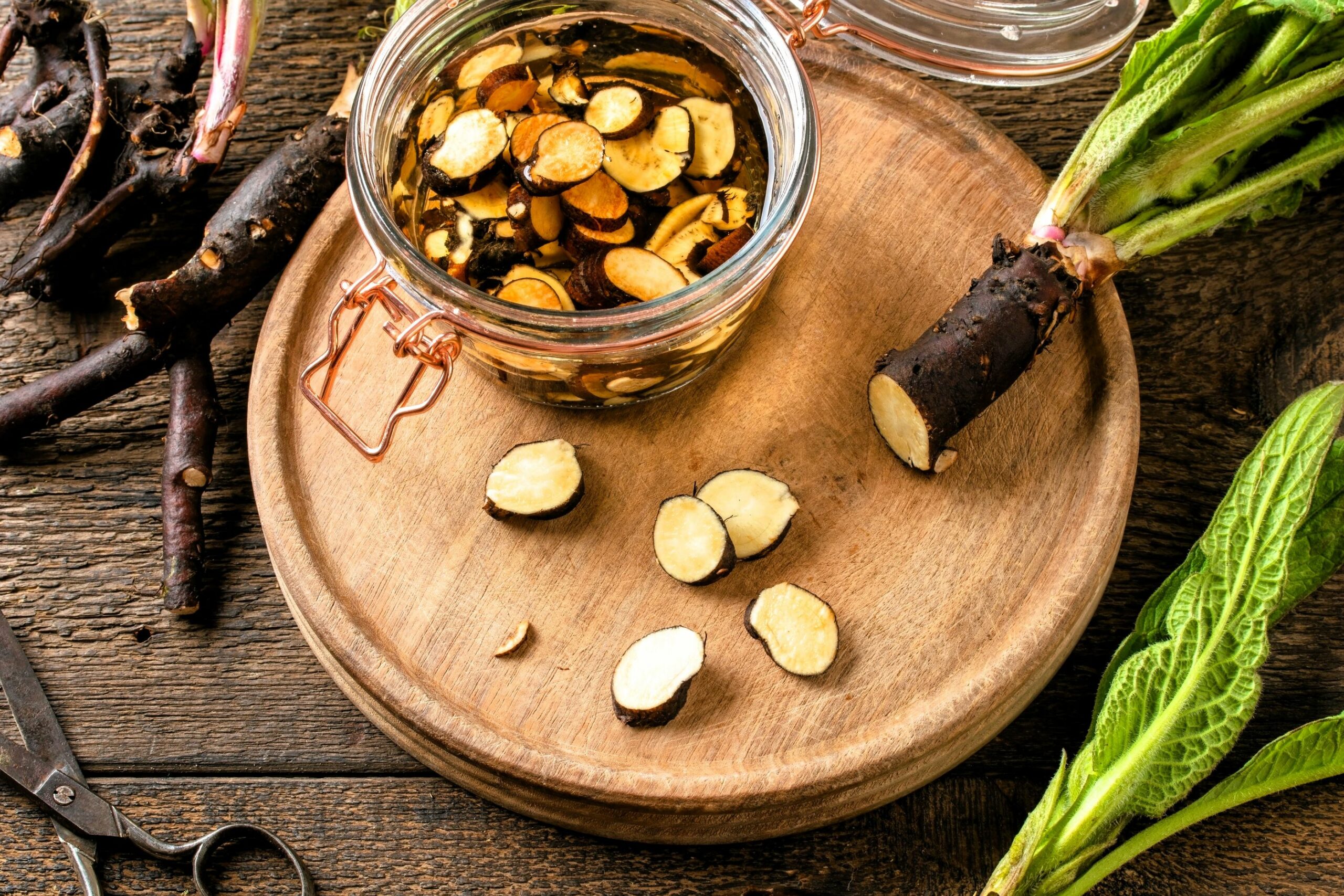 Od Natury Do Zdrowia – Odkryj Moc Żywokostu z Magdaleną Szczepanik! 🌿✨