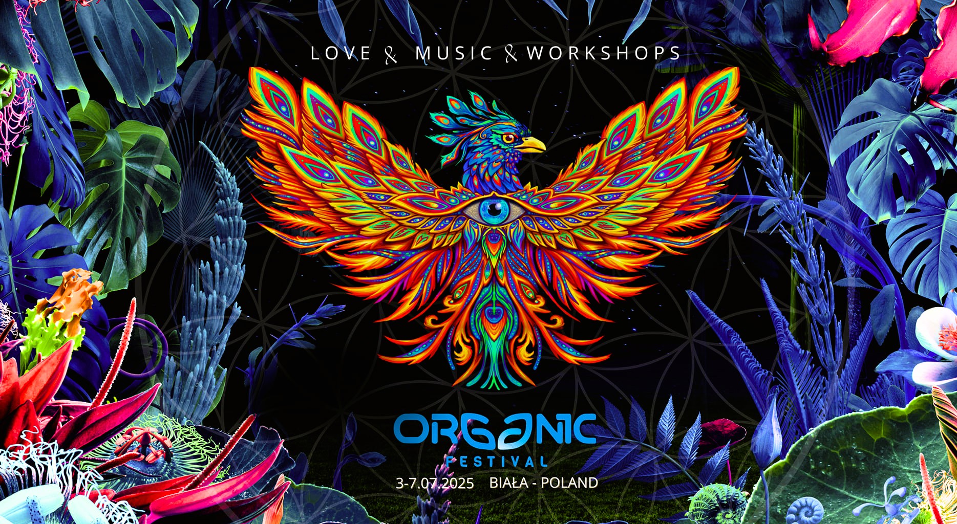 Organic Festival 2025 w Sulejowie to wydarzenie, które łączy muzykę, kreatywność, rozwój osobisty i naturę