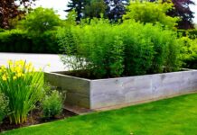 Życie Naturalne z Rafałem Stachyrą – Odkryj moc natury i powrót do korzeni! 🌱 Naturalne Innowacje Życie Naturalne z Rafałem Stachyrą - Odkryj moc natury i powrót do korzeni! 🌱 Naturalne Innowacje