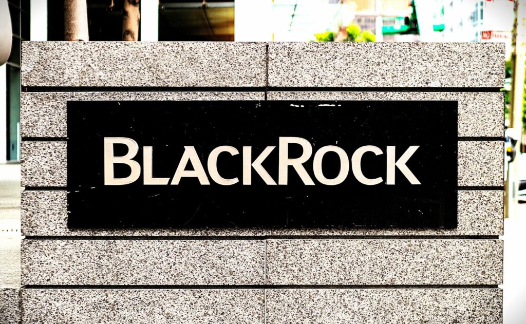 Od BlackRock do Urzędu Kanclerskiego - Friedrich Merz