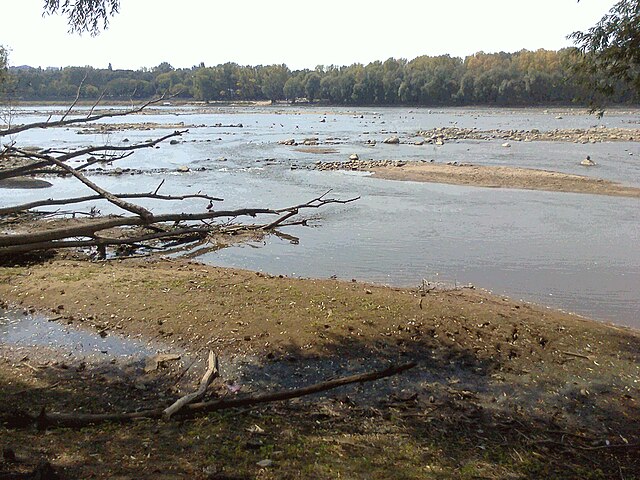 Polska dotknięta suszą: Rzeki na rekordowo niskich poziomach