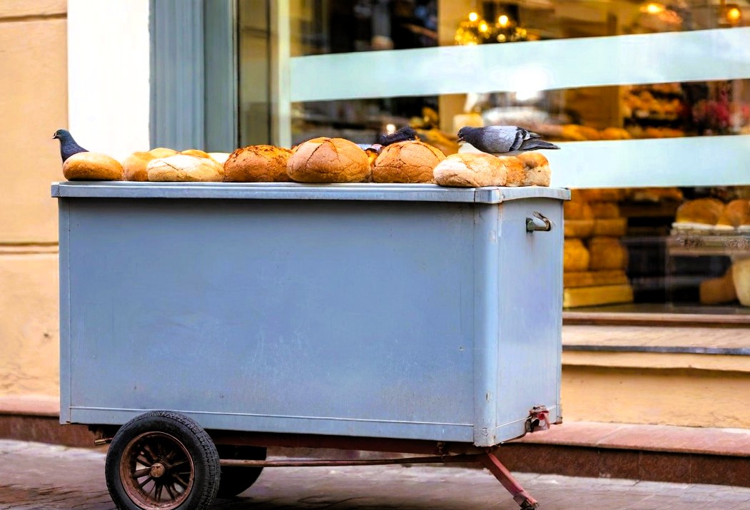 Carrefour i gołębie przenoszą zarazę? Dziobią pieczywo przed sklepem, nie kupuj wydziobanego.