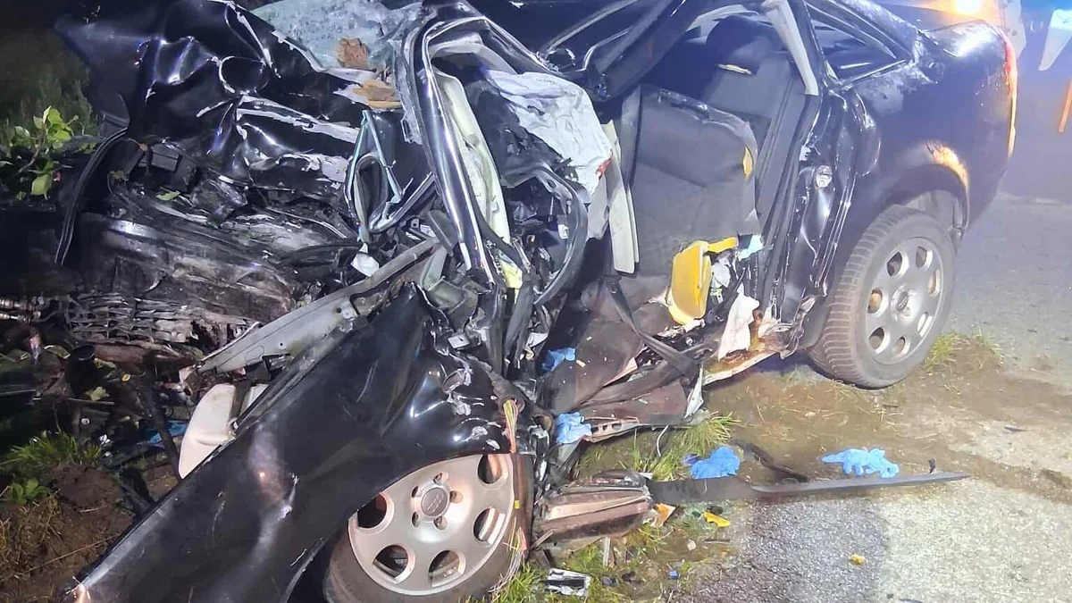 Tragedia w Bugaju pod Poznaniem: 22-latek zginął w zmiażdżonym audi