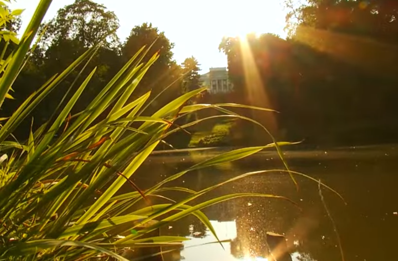 Karol Nawrocki ucieka z Pałacu Prezydenckiego!.