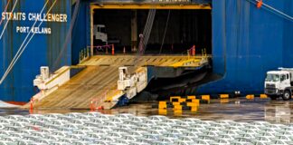 5% udziału w rynku aut mają Chińczycy