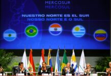 Umowa Mercosur podpisana Umowa Mercosur podpisana - Analiza umowy Mercosur