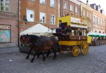 Konie nad Morskim Okiem: Burza po nowym nagraniu Konie nad Morskim Okiem Burza po nowym nagraniu