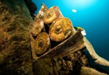 Rosjanie zatopili 300tys ton broni chemicznej na dnie Bałtyku