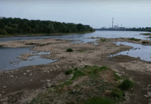 Wisła bije rekordy niskiego poziomu wody. Hydrologiczne oblicze królowej polskich rzek. Wisła w Warszawie