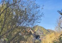 Makabryczne odkrycie w Szczawnicy Makabryczne odkrycie w Szczawnicy