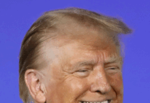 Trump bez Nobla: Biały Dom oskarża Komitet o upolitycznienie nagrody Trump bez Nobla Biały Dom oskarża Komitet o upolitycznienie nagrody