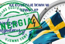 Co To Jest Rynek Ujemnych Cen Energii Ujemne Ceny Energii nawet w Polsce