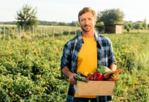 Fiskus Ściga Rolników Za Straty I Samozbiory Fiskus Ściga Rolników Za Straty I Samozbiory