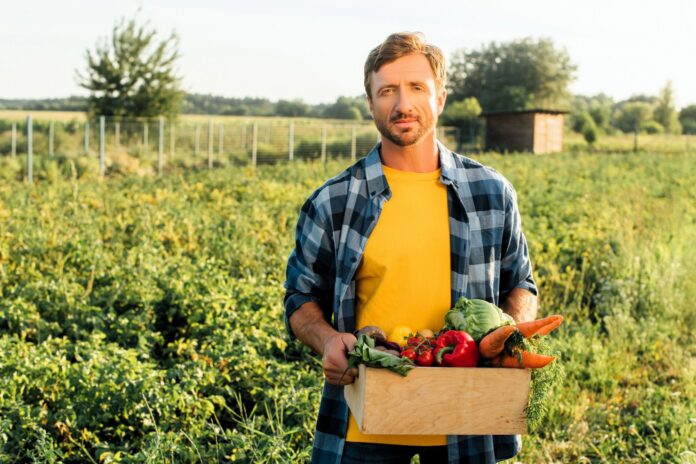 Fiskus Ściga Rolników Za Straty I Samozbiory