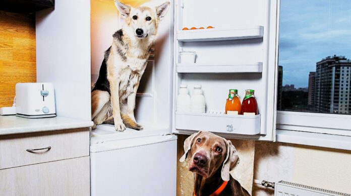 Okradają Konta przez Lodówkę, zabezpiecz swoje hasła