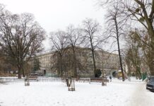 Pies przymarzł do ziemi w rowie: Bohaterska akcja ratowników pod Przasnyszem Pies przymarzł do ziemi w rowie Bohaterska akcja ratowników pod Przasnyszem