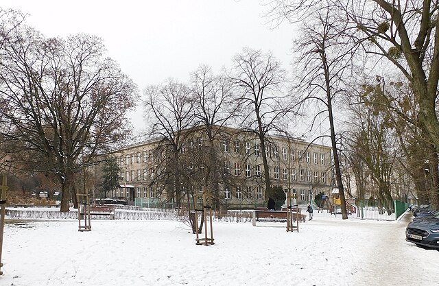 Pies przymarzł do ziemi w rowie Bohaterska akcja ratowników pod Przasnyszem Pies przymarzł do ziemi w rowie Bohaterska akcja ratowników pod Przasnyszem