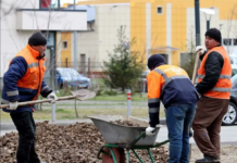 Wielkie zatrzymania nielegalnych pracowników Wielkie zatrzymania nielegalnych pracowników