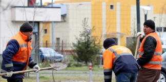 Wielkie zatrzymania nielegalnych pracowników