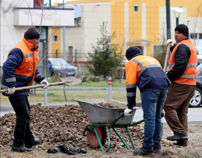 Wielkie zatrzymania nielegalnych pracowników