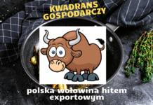 Kwadrans Gospodarczy - Polska wołowina hitem eksportowym