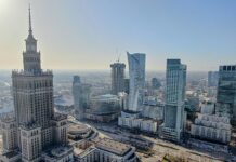 Zielony Wolontariat ratuje płazy w Warszawie