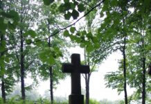 Tragedia w Puławach. Policja odnalazła ciała młodego małżeństwa Tragedia w Puławach. Policja odnalazła ciała młodego małżeństwa