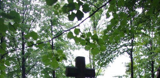 Tragedia w Puławach. Policja odnalazła ciała młodego małżeństwa