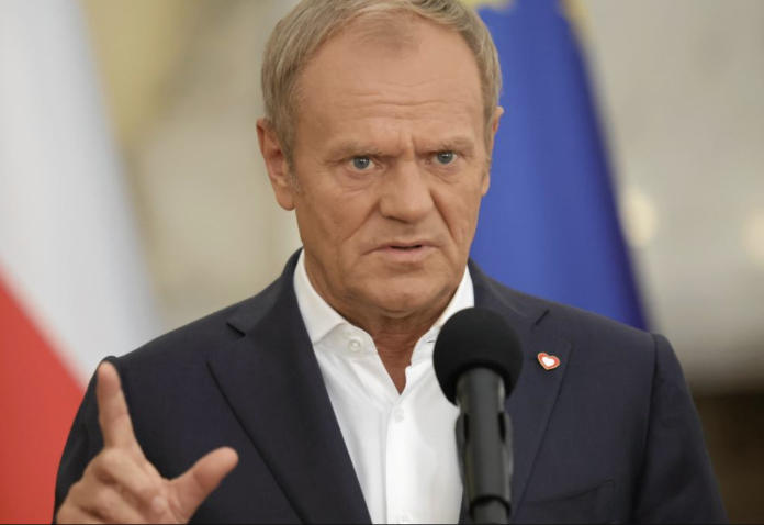 Kto byłby najlepszym premierem z prawicy? Sondaż