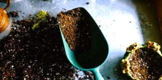 Kompost, obornik czy nawóz mineralny – jak łączyć różne źródła składników bez przenawożenia