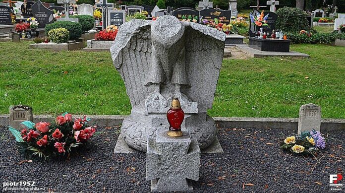 Tragiczne zabójstwo w Kędzierzynie-Koźlu – Straszne popołudnie w lesie