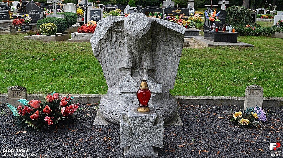 Tragiczne zabójstwo w Kędzierzynie-Koźlu – Straszne popołudnie w lesie