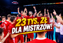 Tyle zarobią polscy mistrzowie Europy! Konkretna premia za złoto.