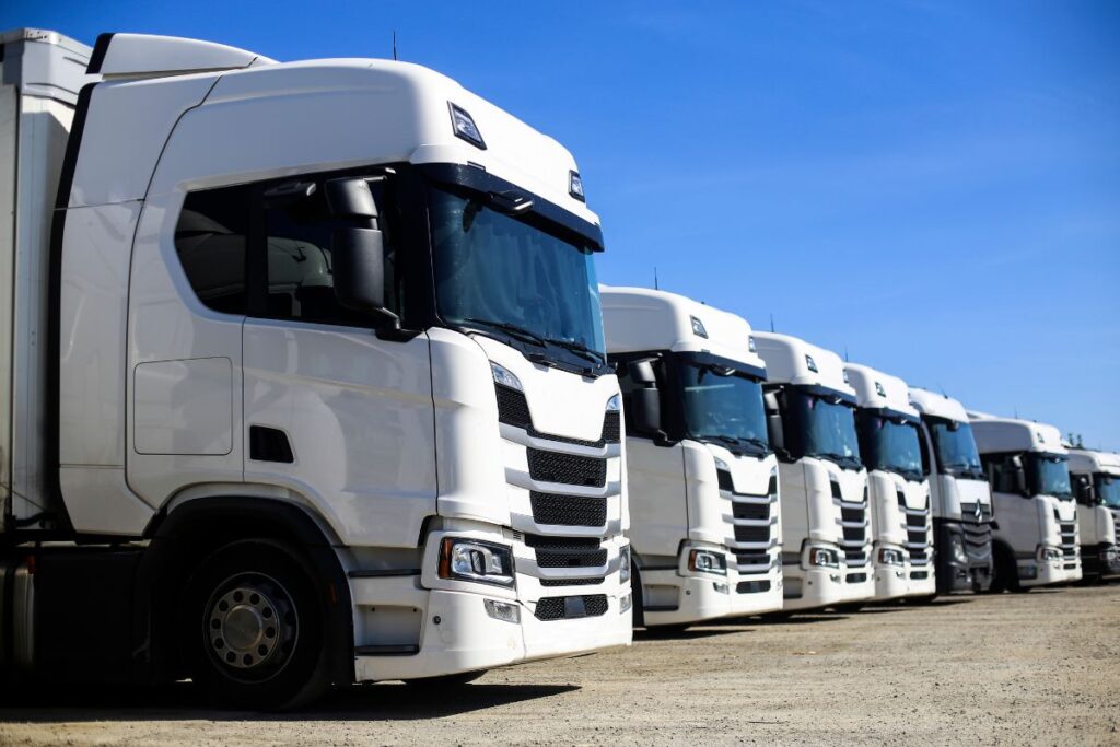 Program dla firm transportowych