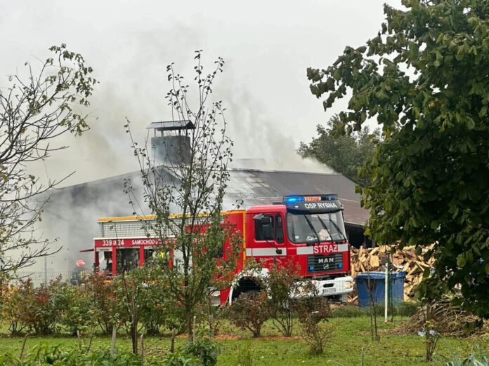 Pożar zakładów mięsnych w Rybnej