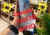uwaga trefne wino z Argentyny